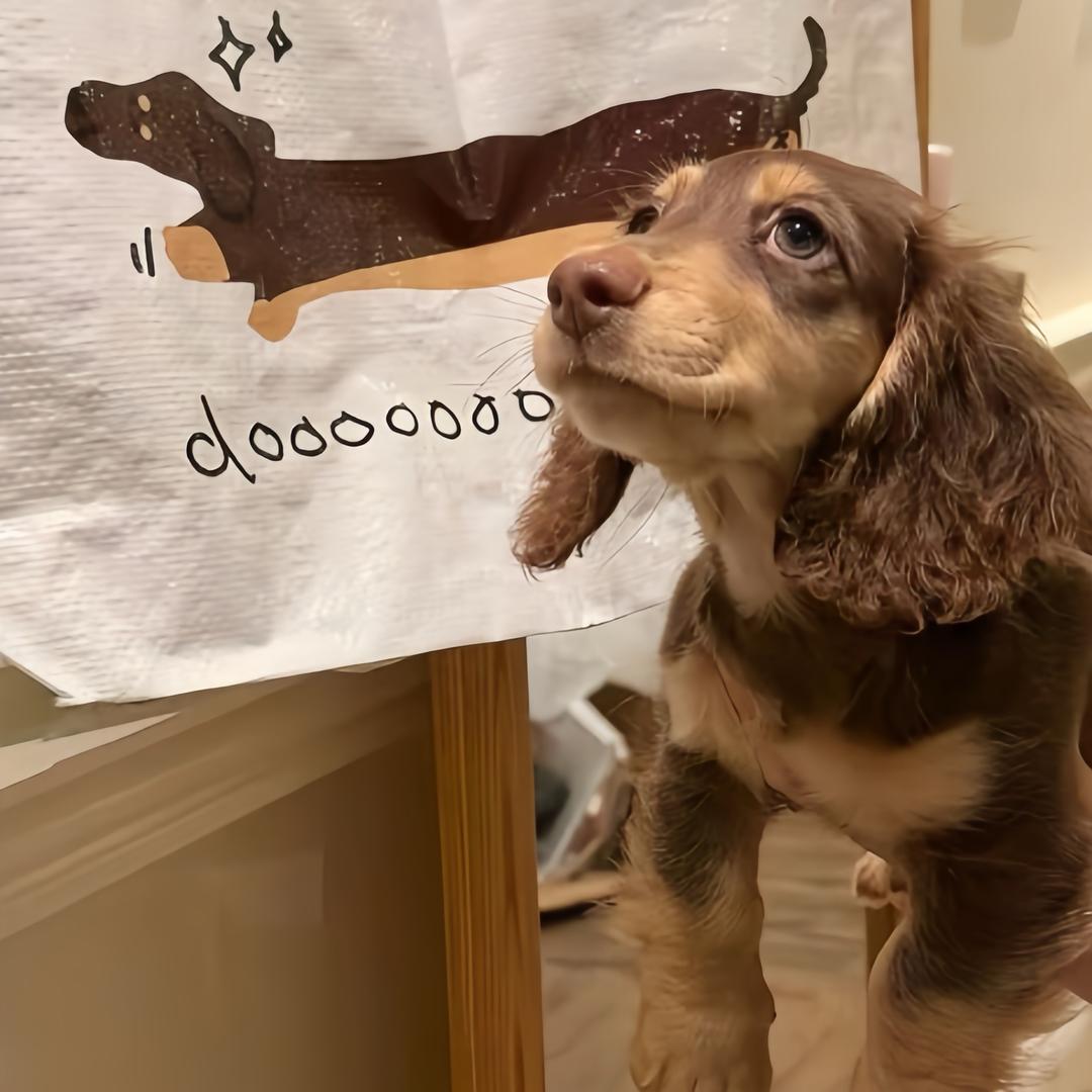 一口美味🦀️煲