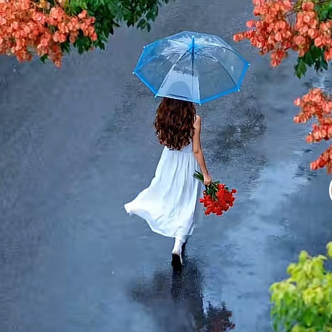 🦋浮生若梦🦋