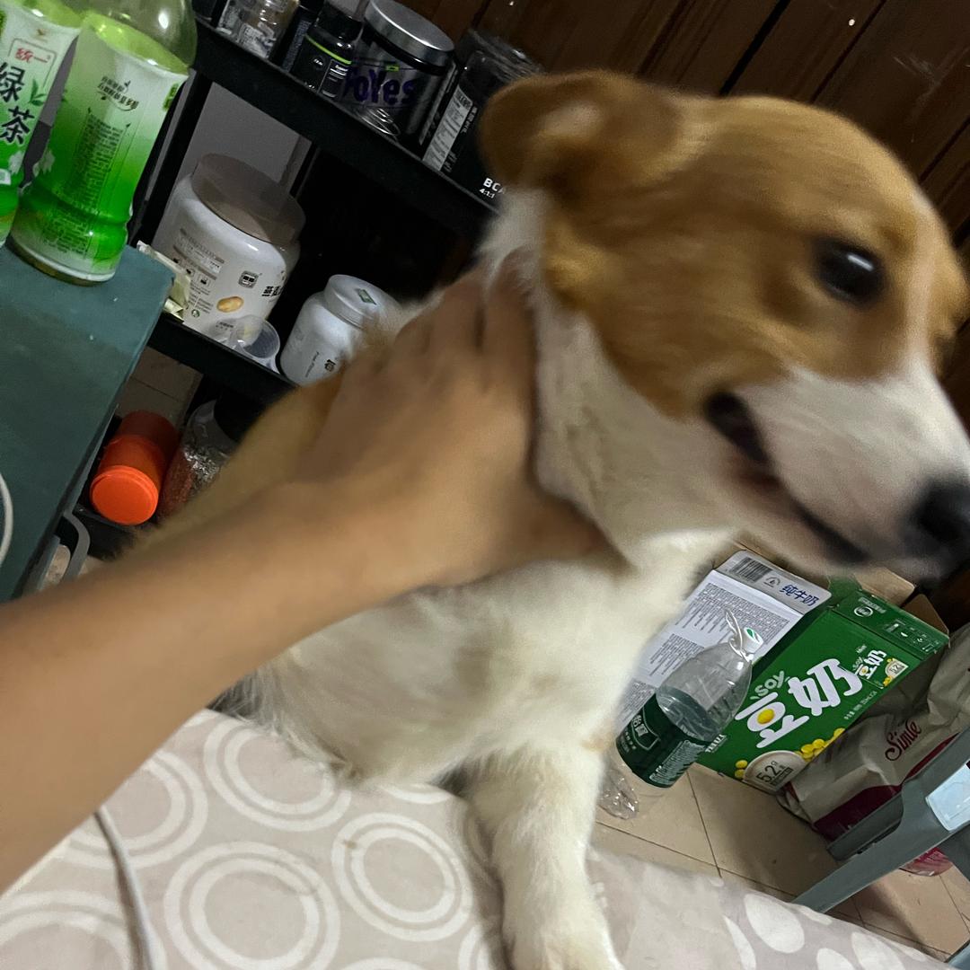 往左