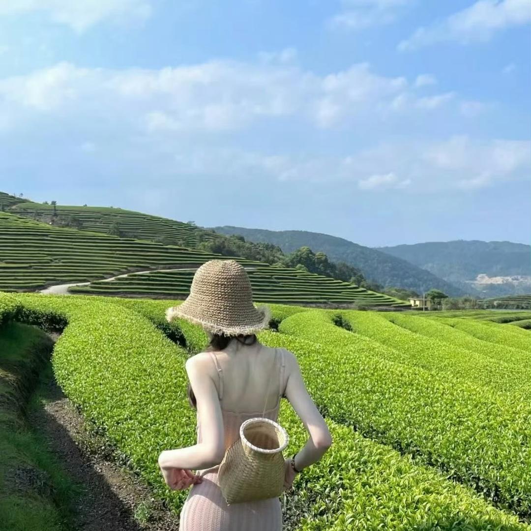 石头JieJie
