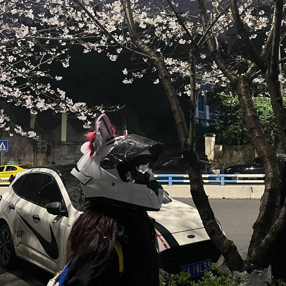 赖格宝宝宝宝宝