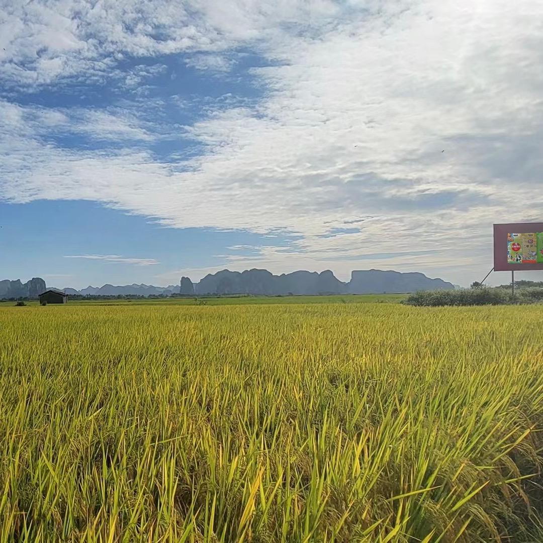 粒粒冠粮油旗舰店