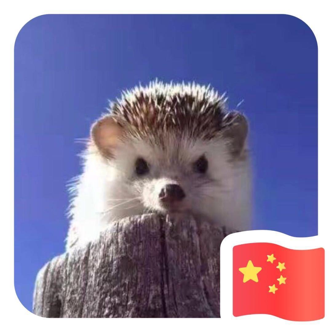 刺猬cl