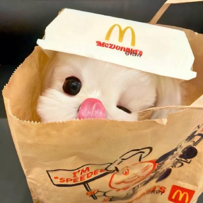 辣椒炒肉拌面