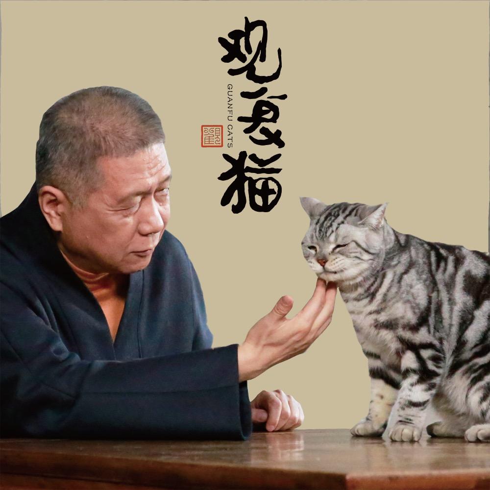 观复猫