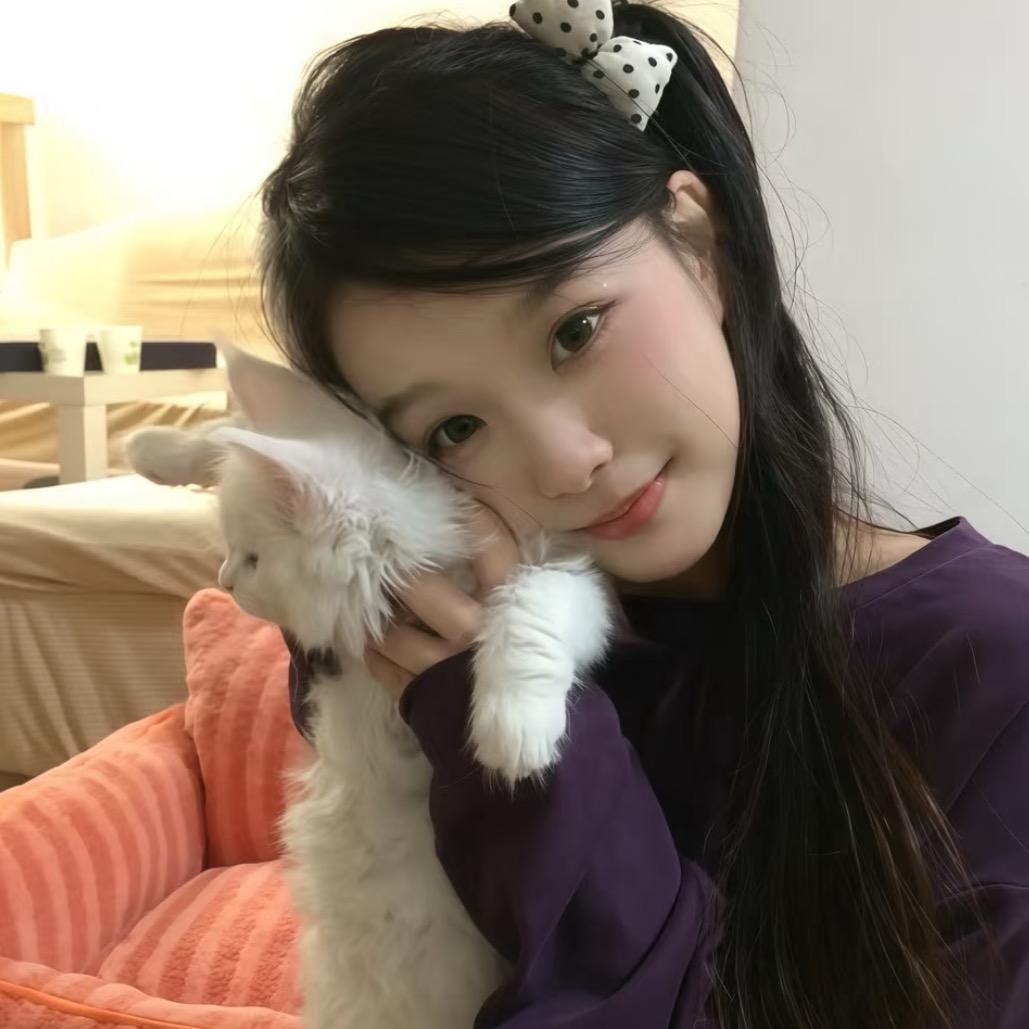 脆弱的猫猫