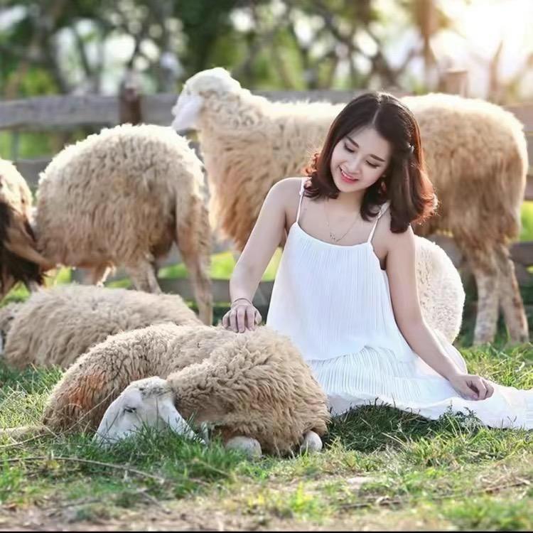 暖阳羊毛制品工厂