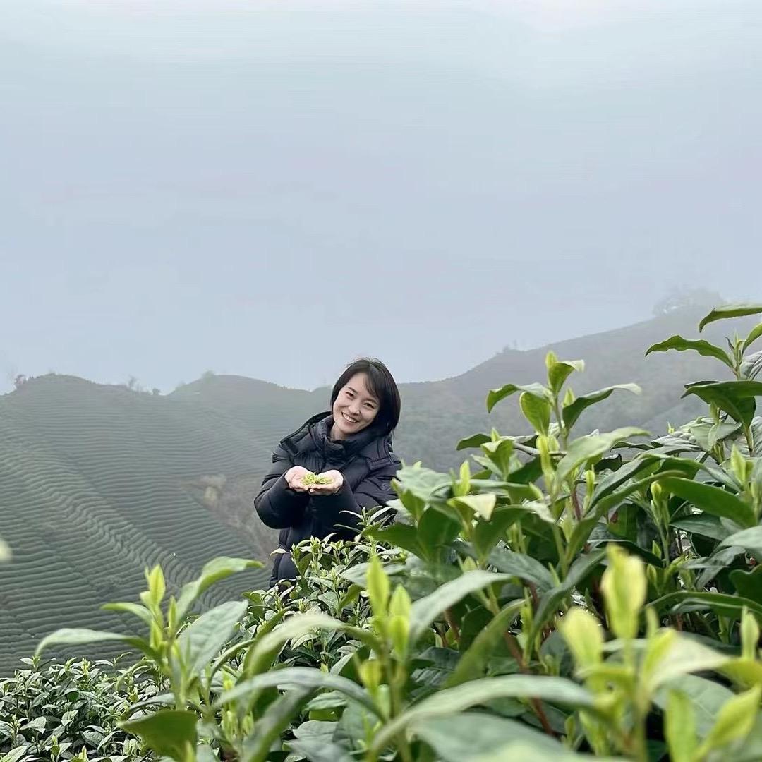 习茶笔记