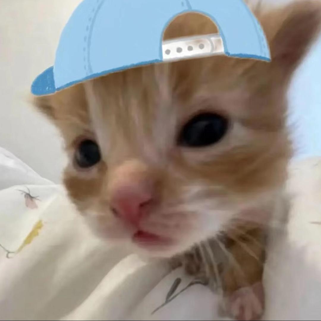 鼻涕猫⩌₋⩌