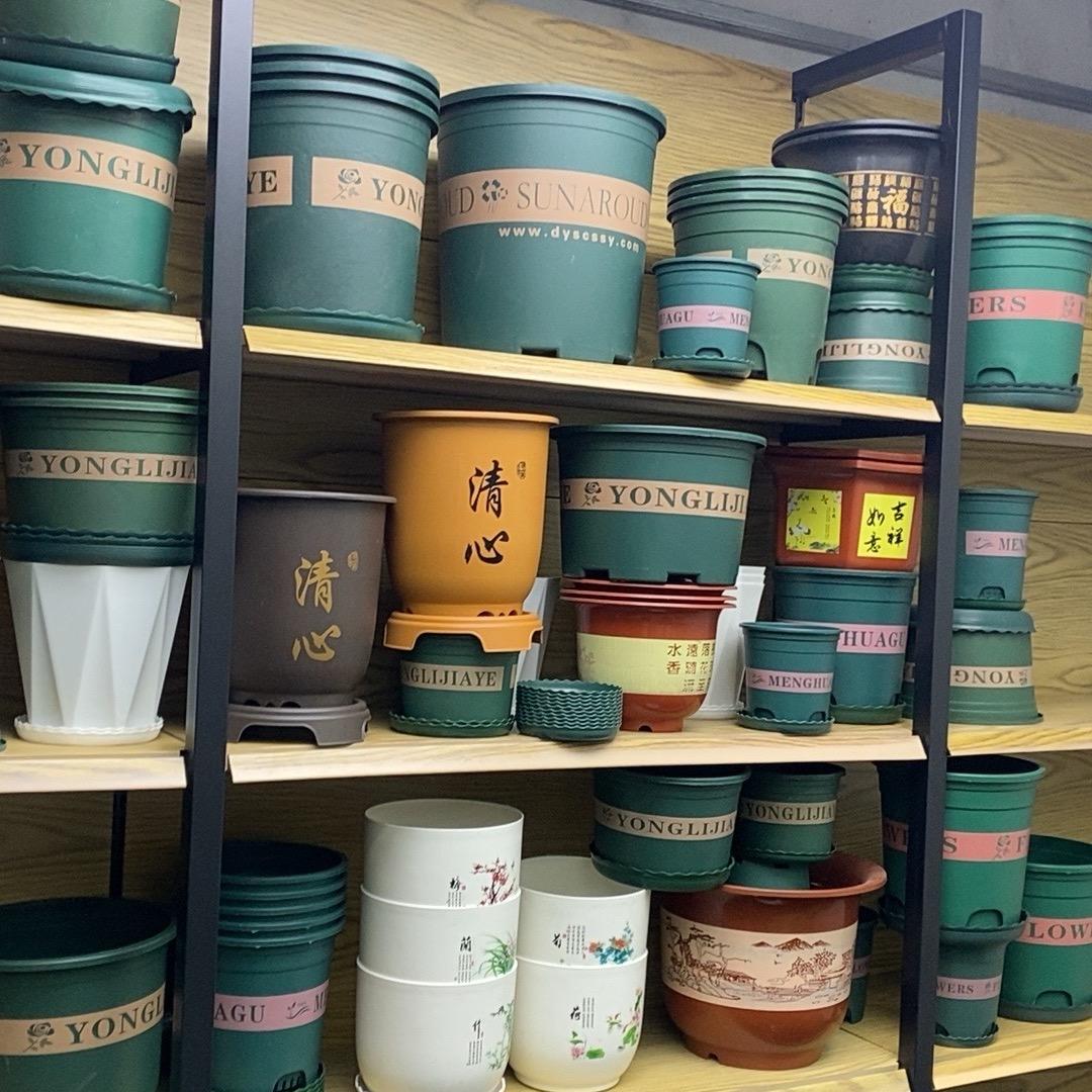 菜植加仑花盆厂