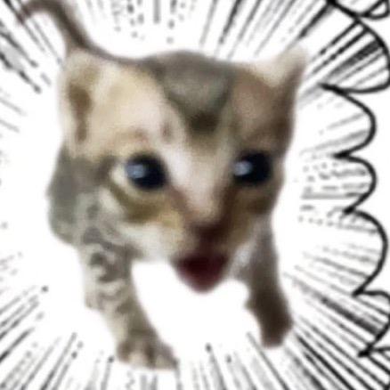 拉大便