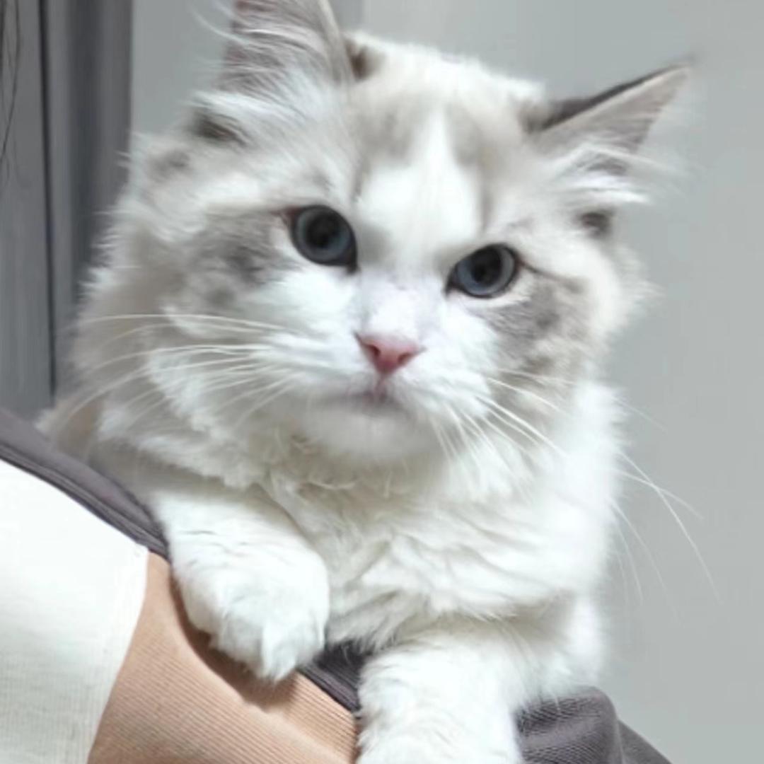 小宇睡不醒.