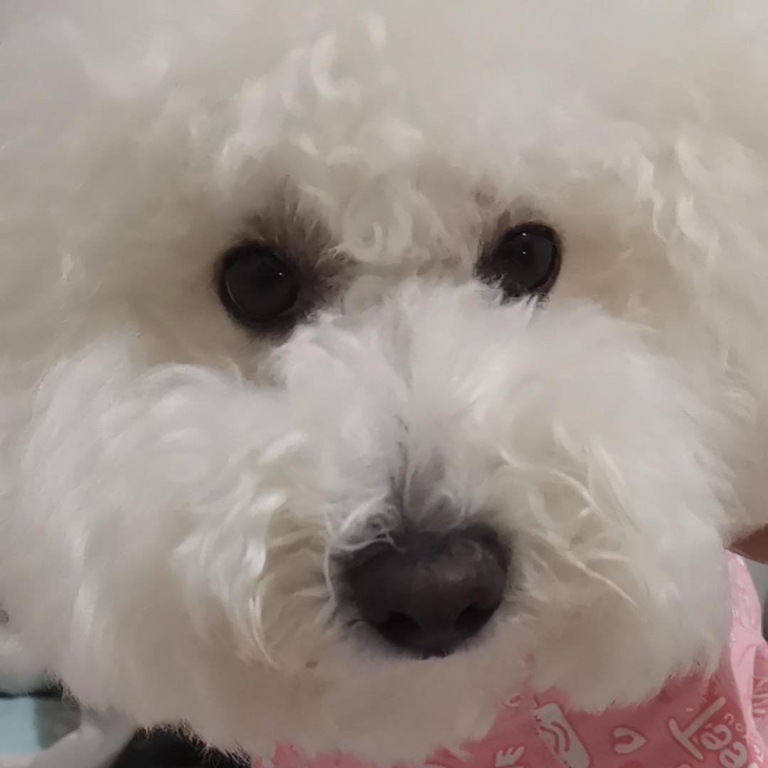 湖州专业活动执行（接项目）