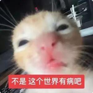 世界毁灭吧