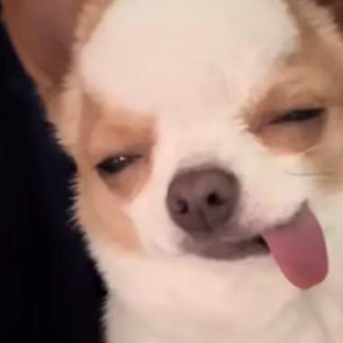 名真难起