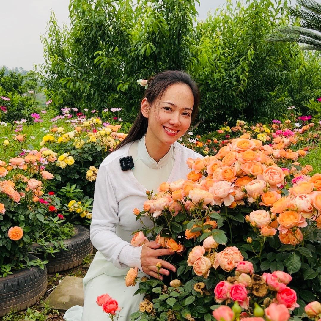 泸州风向标农业开心农场