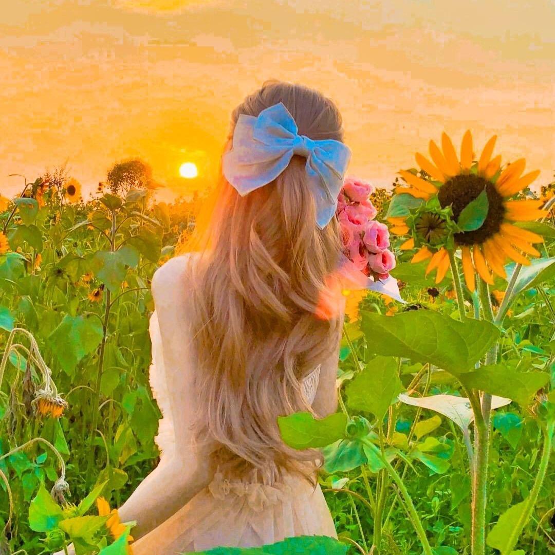 惊艳一个人的岁月