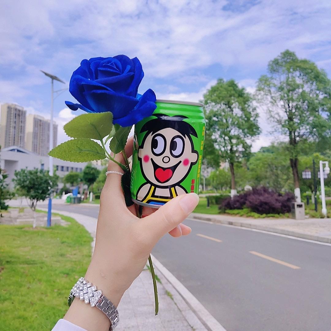 芒果加布丁