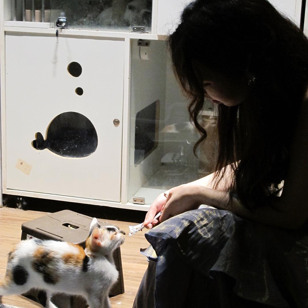 早早起的沈太太(见过薛之谦版)