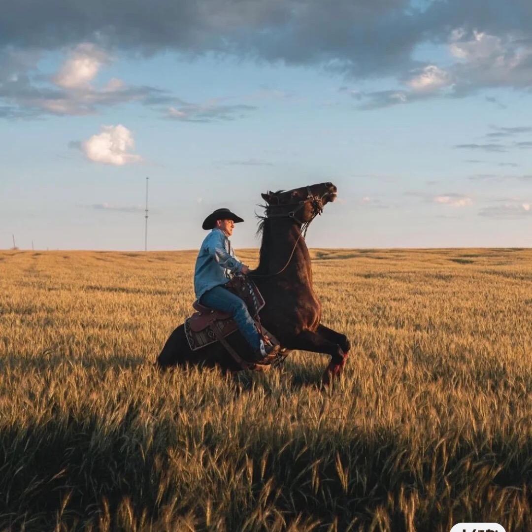 东里糊涂一点点