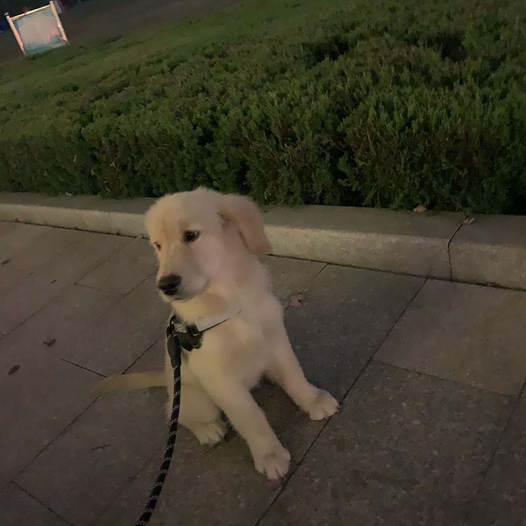 若何