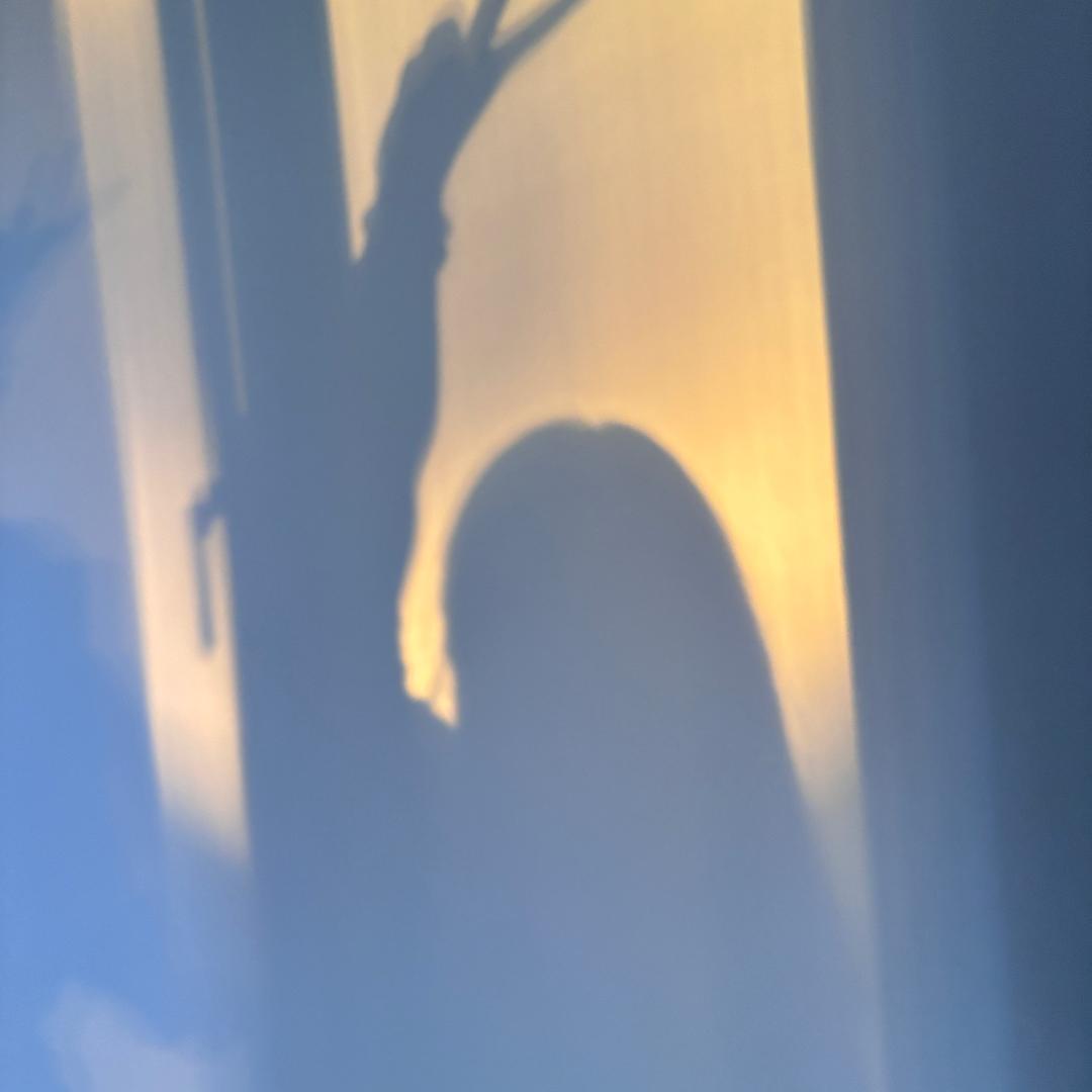 小仙女🧚‍♀️🧚‍♀️