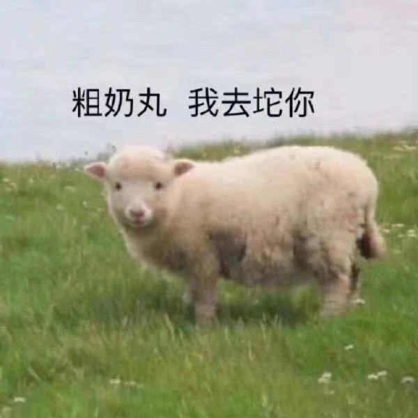 冷酷铁牛