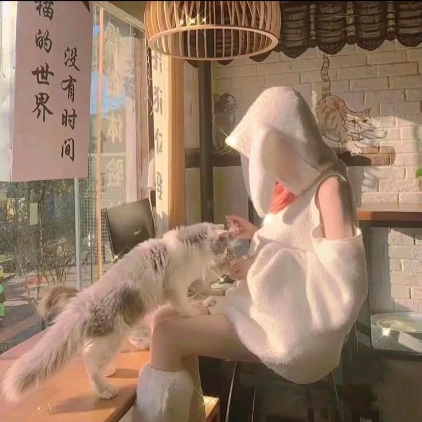 당신 은 돼지 습니까