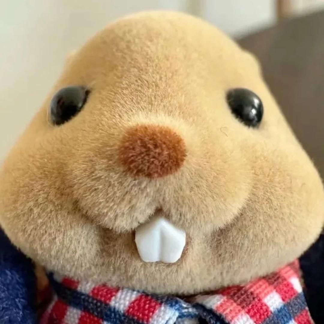 米米🐰