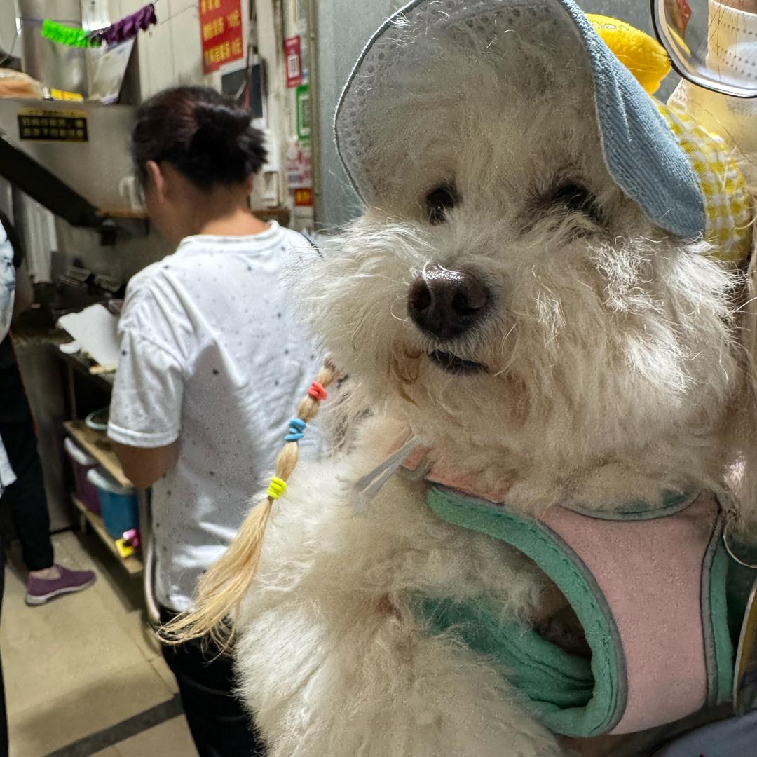 舒心（见过雷朋版