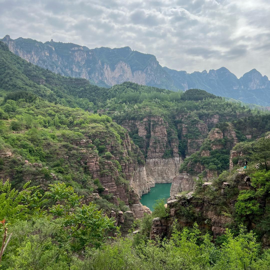 天华文化艺术精选市集