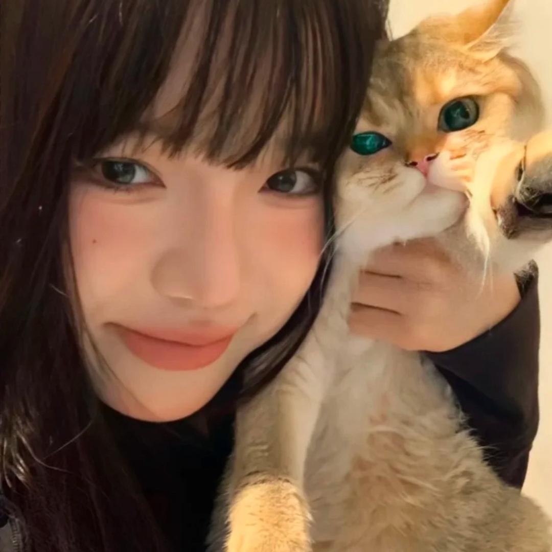 别吵我睡觉🫧