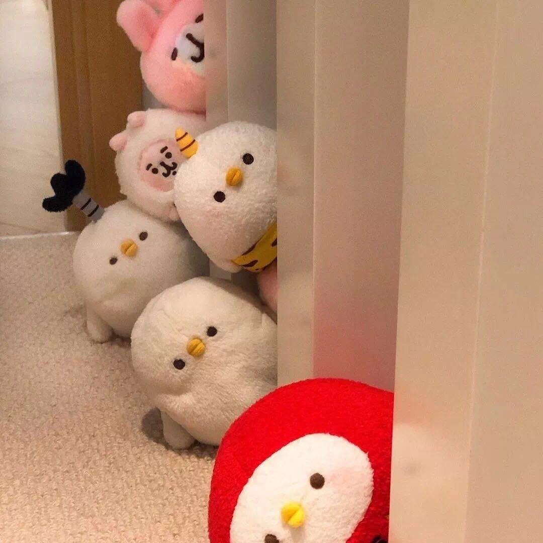 小白云天