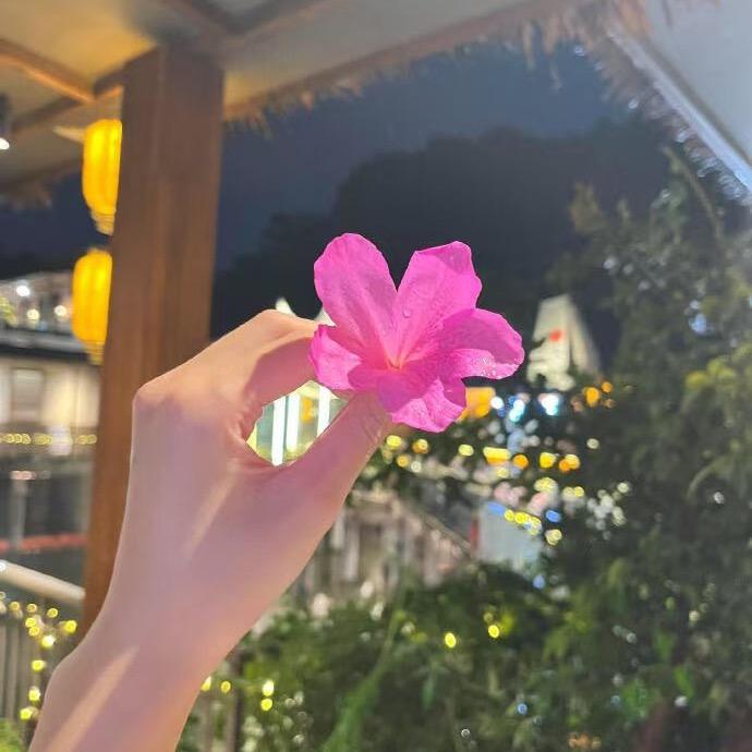 点点@