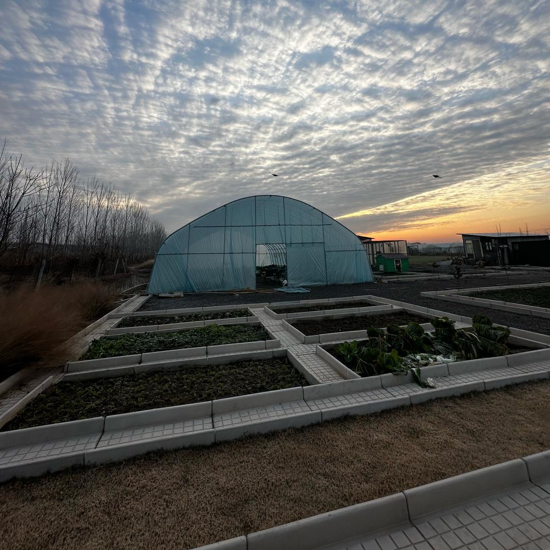 铜山区文平种植园