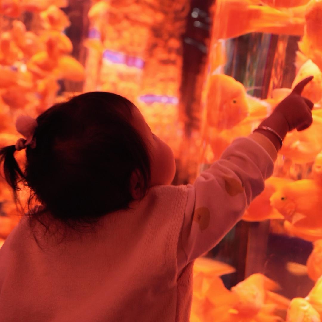 丁大力（遛娃版）