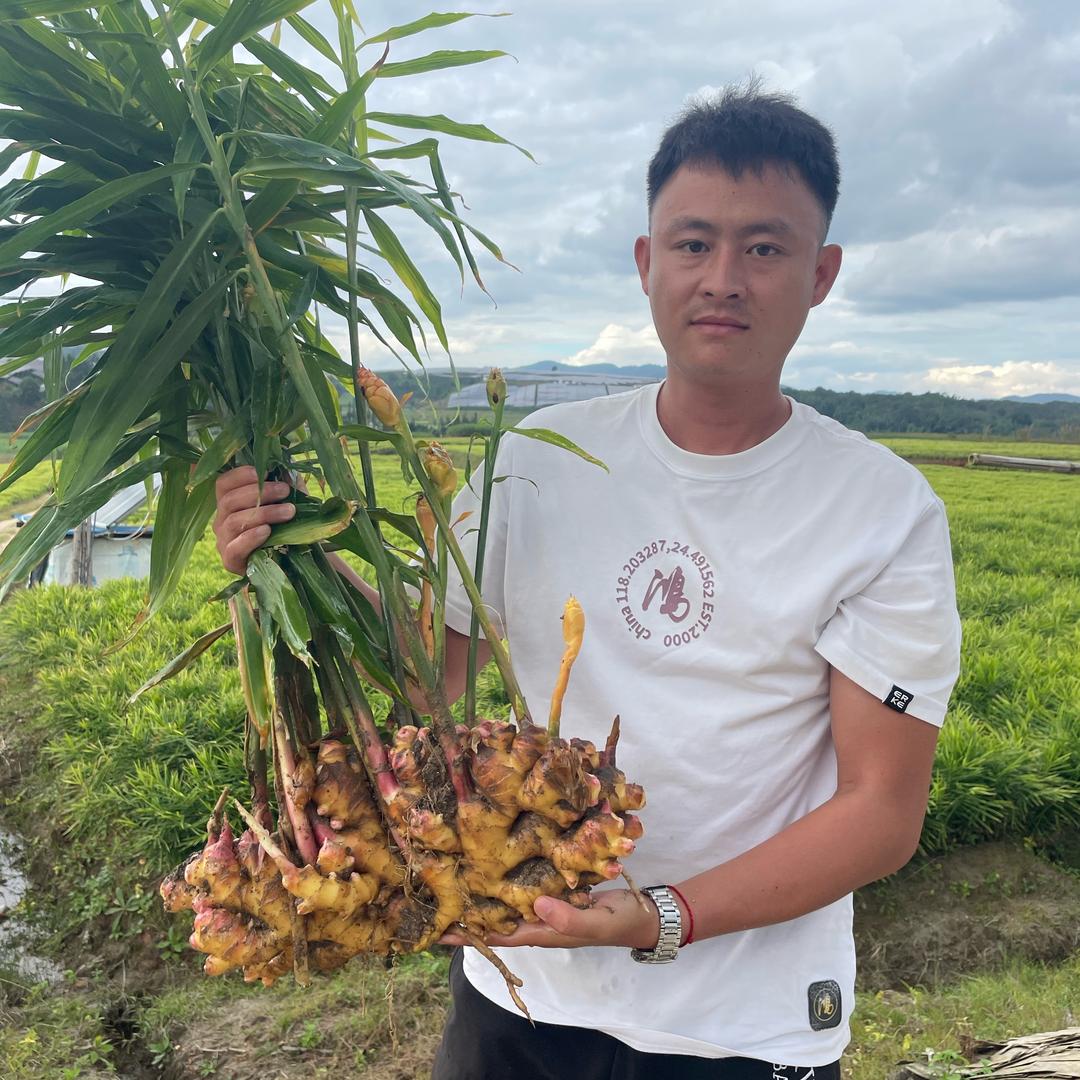 姜堆堆（云南太溪邦技术员）