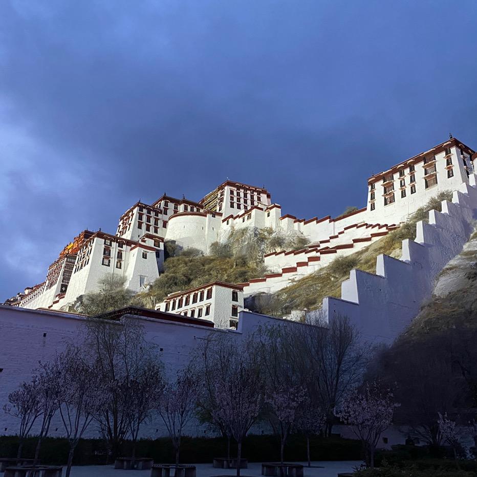 上海沛愉韩金雪