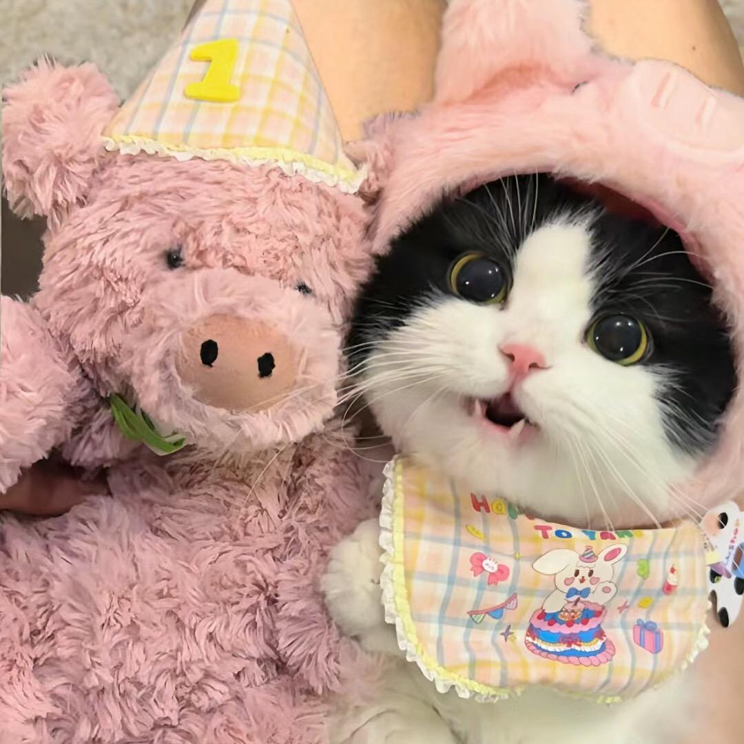 一线撤柜女鞋仓