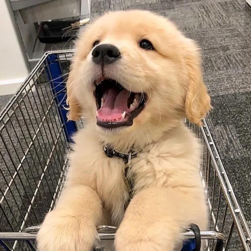 是皖皖不是婉婉