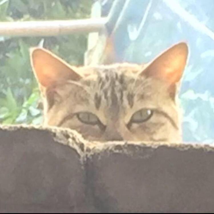 剑哥