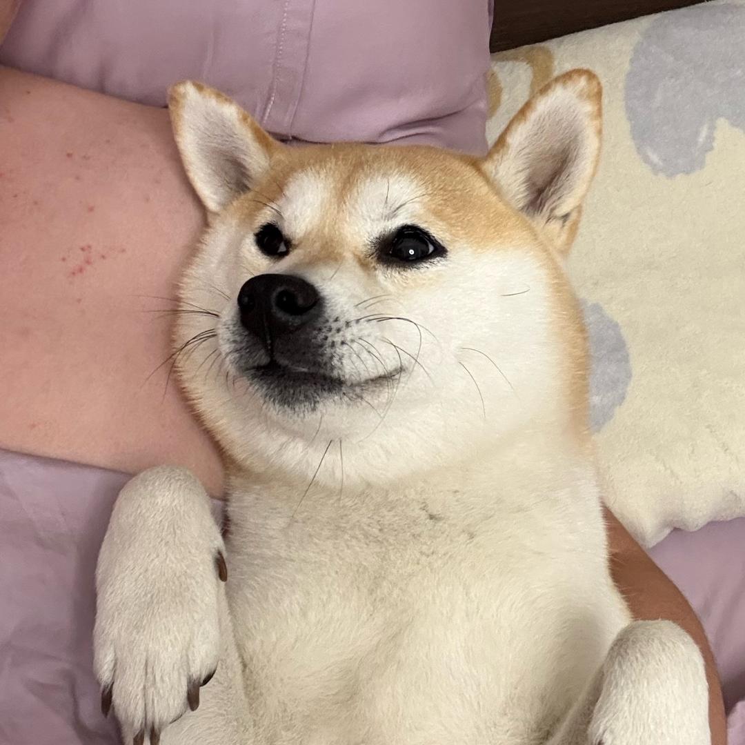 伟子