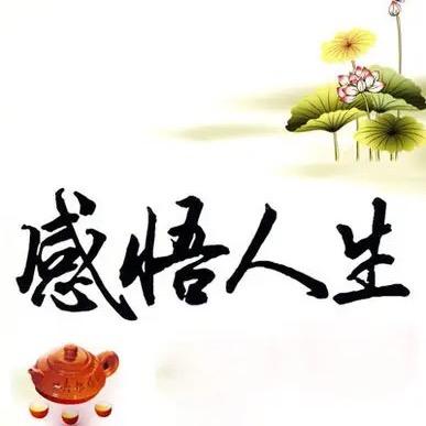 人生感悟.哲学