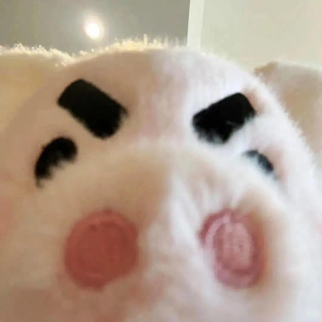 想吃灌汤包