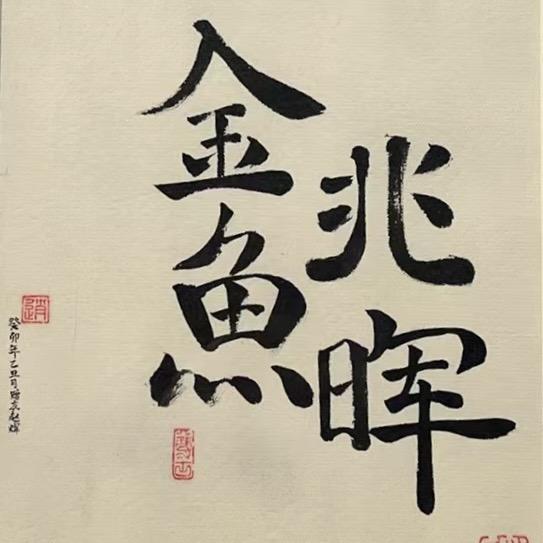 兆晖金鱼直播号