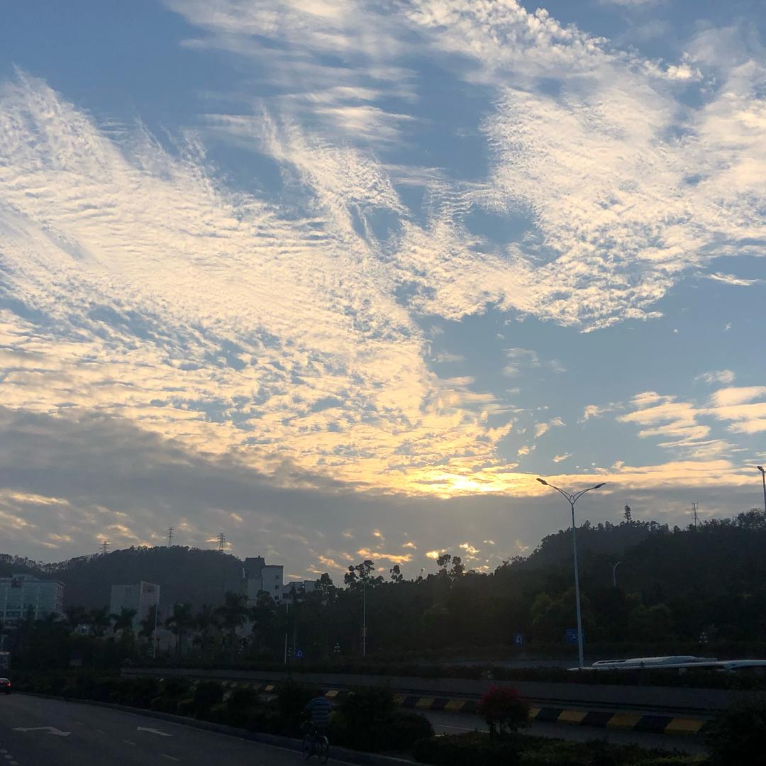 自律落