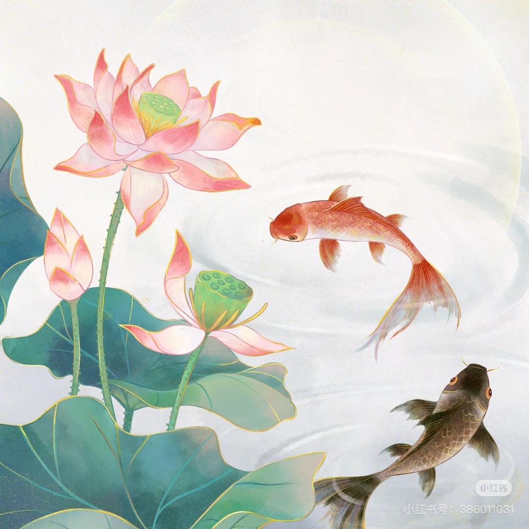 好运莲莲
