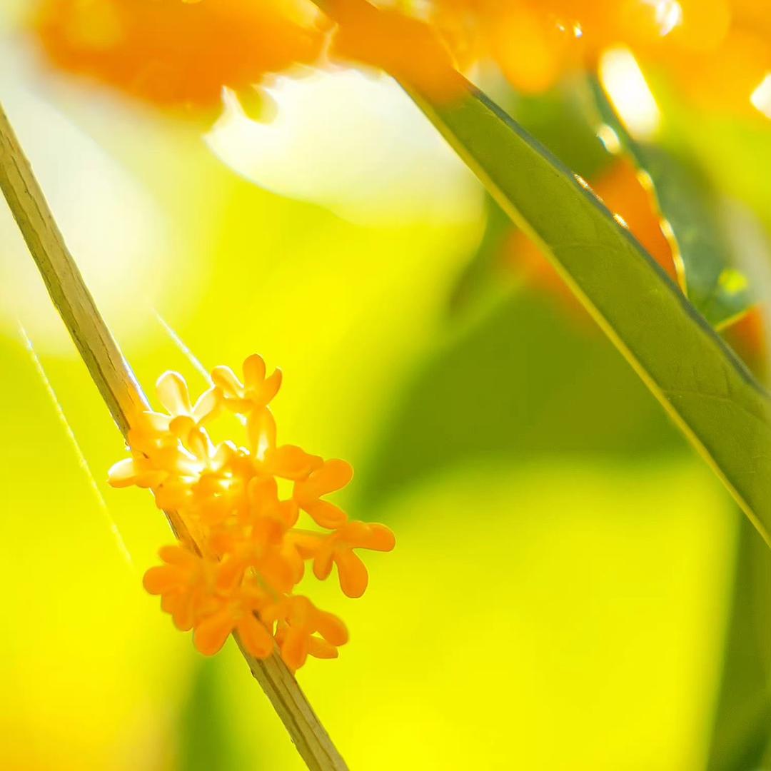 ღ随遇᭄而安ꦿ࿐