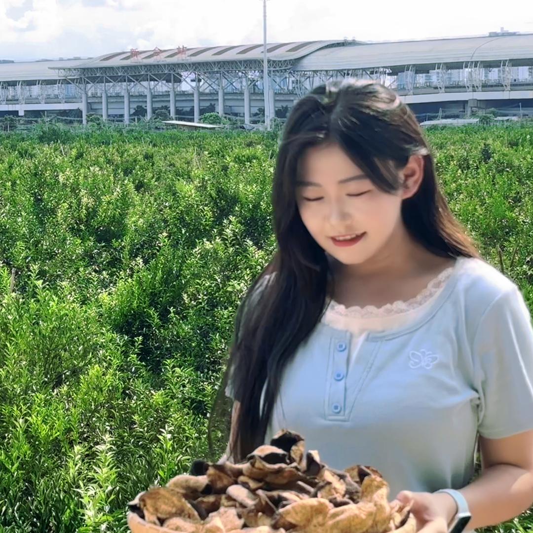 小乔新会陈皮(只卖好陈皮)