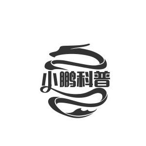 小鹏科普